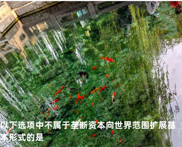 以下选项中不属于垄断资本向世界范围扩展基本形式的是