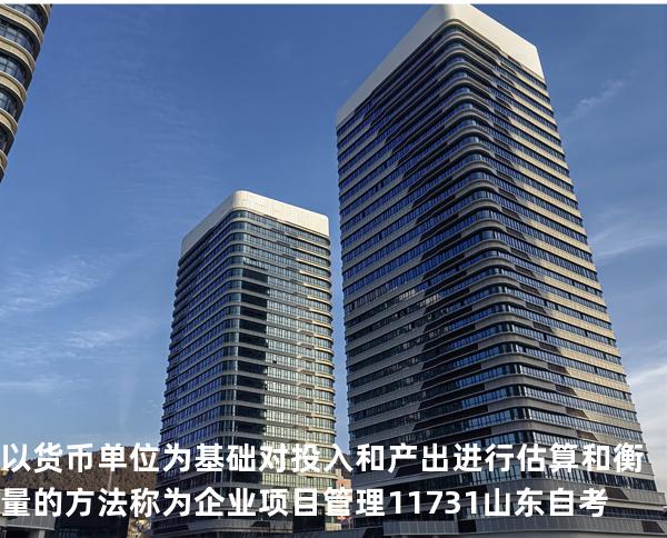 以货币单位为基础对投入和产出进行估算和衡量的方法称为企业项目管理 11731 山东自考