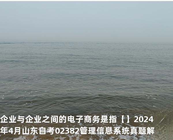 企业与企业之间的电子商务是指【】2024 年 4 月 山东自考 02382管理信息系统 真题解