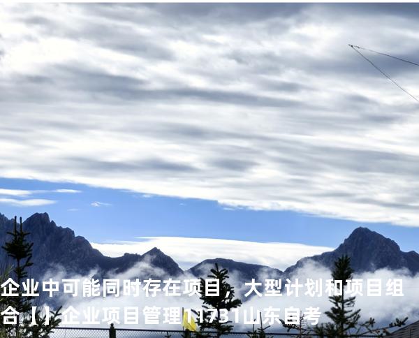 企业中可能同时存在项目，大型计划和项目组合【】企业项目管理 11731 山东自考