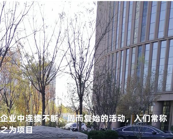 企业中连续不断、周而复始的活动，入们常称之为项目