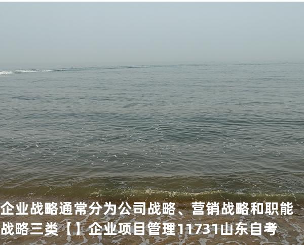 企业战略通常分为公司战略、营销战略和职能战略三类【】企业项目管理 11731 山东自考