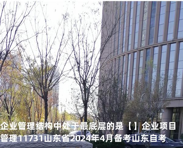 企业管理结构中处于最底层的是【】企业项目管理 11731 山东省2024年4月 备考山东自考
