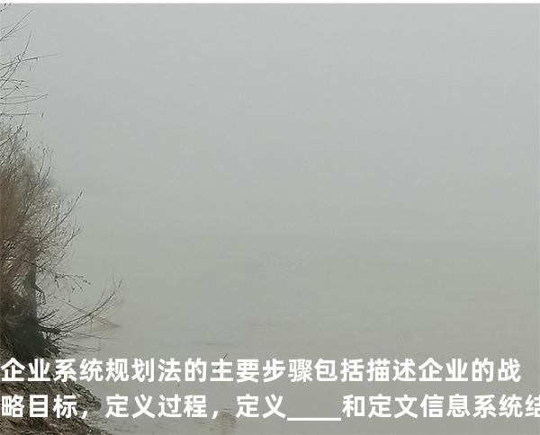 企业系统规划法的主要步骤包括:描述企业的战略目标，定义过程，定义____和定文信息系统结构