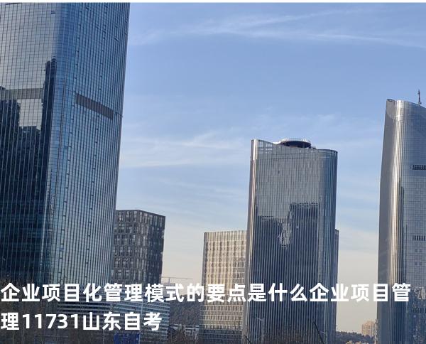 企业项目化管理模式的要点是什么? 企业项目管理 11731 山东自考