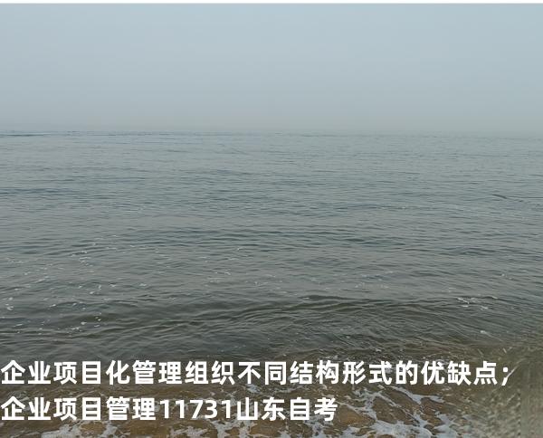 企业项目化管理组织不同结构形式的优缺点；企业项目管理 11731 山东自考
