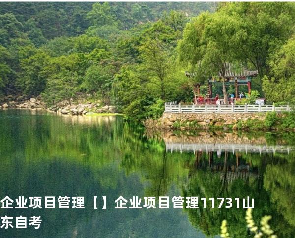 企业项目管理【】企业项目管理 11731 山东自考