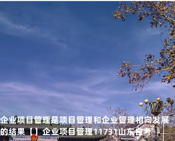 企业项目管理是项目管理和企业管理相向发展的结果【】企业项目管理 11731 山东自考
