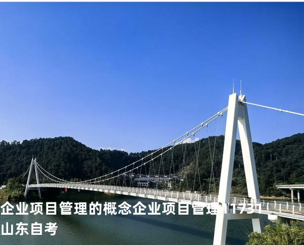  企业项目管理的概念  企业项目管理 11731 山东自考