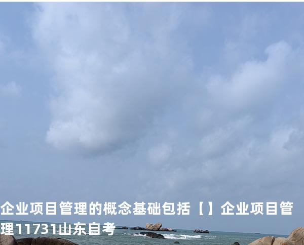 企业项目管理的概念基础包括【】企业项目管理 11731 山东自考