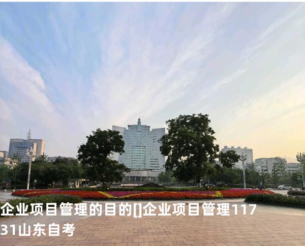 企业项目管理的目的[]企业项目管理 11731 山东自考