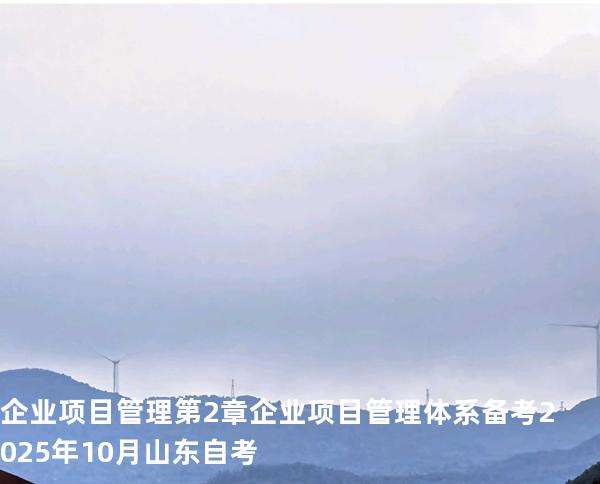 企业项目管理 第2章  企业项目管理体系备考2025年10月山东自考