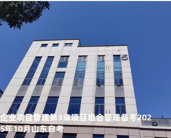 企业项目管理 第3章  项目组合管理 备考2025年10月山东自考