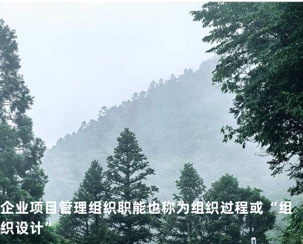 企业项目管理组织职能也称为组织过程或“组织设计”