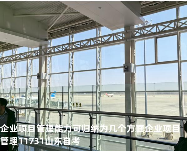 企业项目管理能力可归纳为几个方面 企业项目管理 11731 山东自考