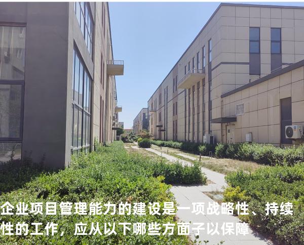 企业项目管理能力的建设是一项战略性、持续性的工作，应从以下哪些方面子以保障? 