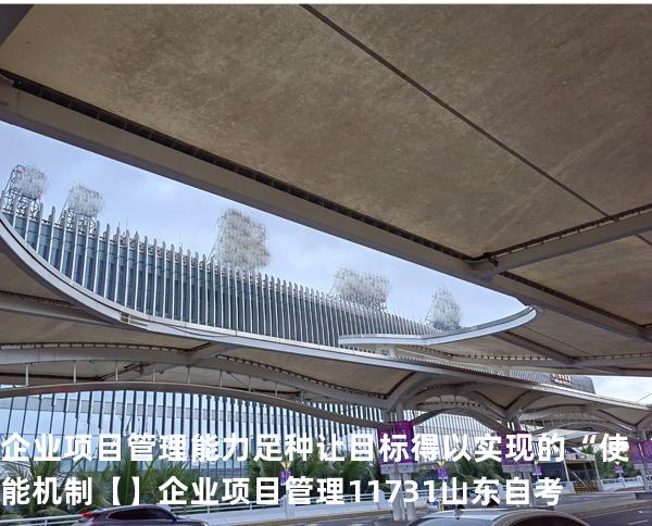 企业项目管理能力足种让目标得以实现的“使能 机制【】企业项目管理 11731 山东自考