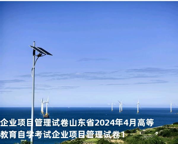 企业项目管理试卷 山东省2024年4月高等教育自学考试  企业项目管理试卷1