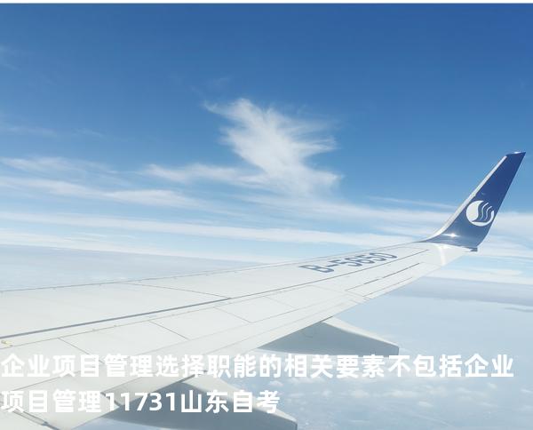 企业项目管理选择职能的相关要素不包括 企业项目管理 11731 山东自考
