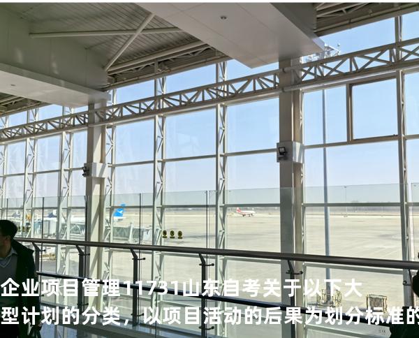 企业项目管理 11731 山东自考 关于以下大型计划的分类，以项目活动的后果为划分标准的是