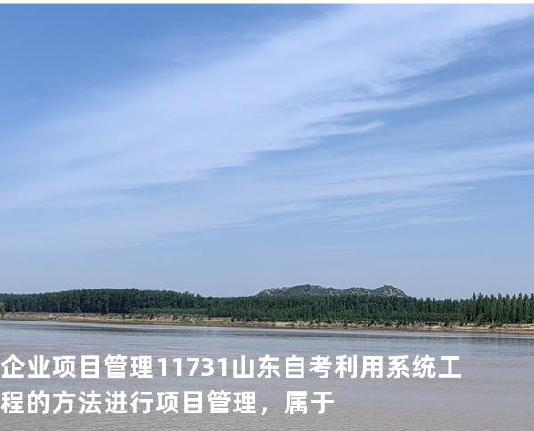 企业项目管理 11731 山东自考 利用系统工程的方法进行项目管理，属于