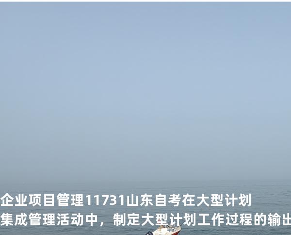 企业项目管理 11731 山东自考 在大型计划集成管理活动中，制定大型计划工作过程的输出结果是
