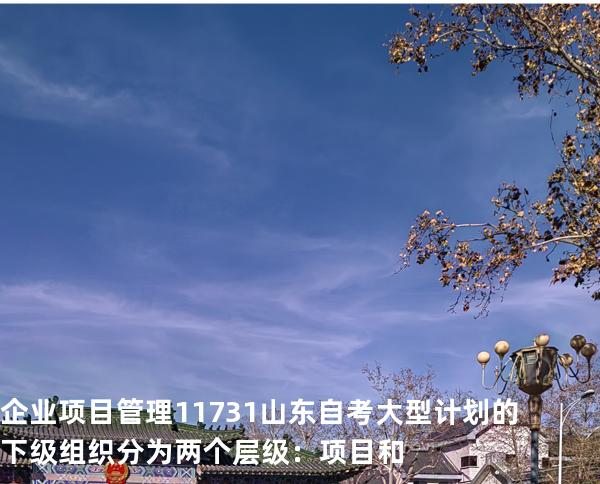 企业项目管理 11731 山东自考 大型计划的下级组织分为两个层级：项目和