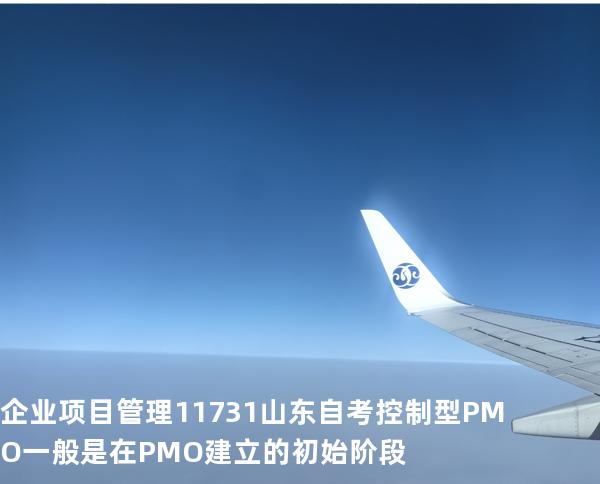 企业项目管理 11731 山东自考  控制型PMO一般是在PMO建立的初始阶段