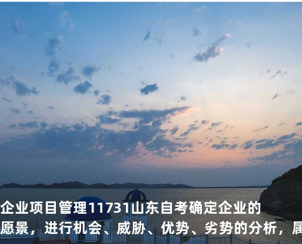 企业项目管理 11731 山东自考 确定企业的愿景，进行机会、威胁、优势、劣势的分析，属于