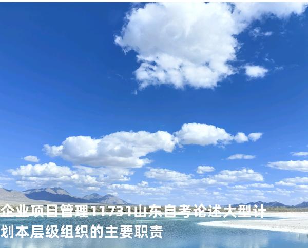 企业项目管理 11731 山东自考 论述大型计划本层级组织的主要职责