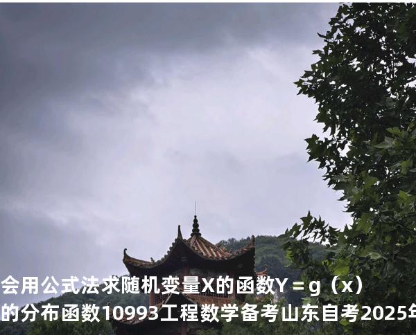 会用公式法求随机变量X的函数Y＝g（x）的分布函数10993工程数学 备考山东自考2025年10月
