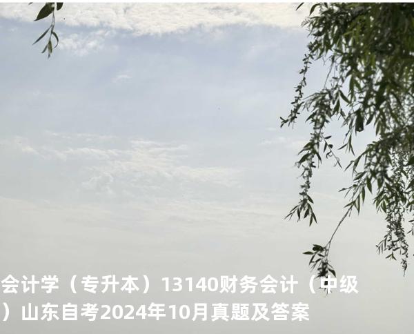 会计学（专升本）13140财务会计（中级）山东自考2024年10月真题及答案