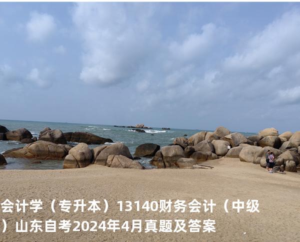 会计学（专升本）13140财务会计（中级）山东自考2024年4月真题及答案