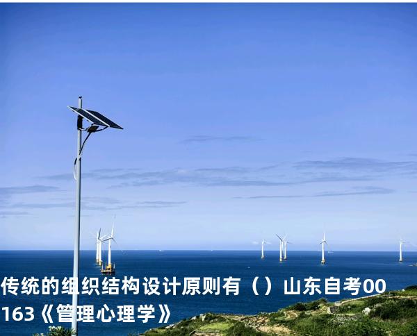 传统的组织结构设计原则有 （ ）  山东自考00163《管理心理学》