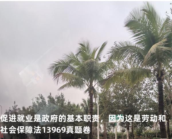 促进就业是政府的基本职责，因为这是 劳动和社会保障法   13969 真题卷
