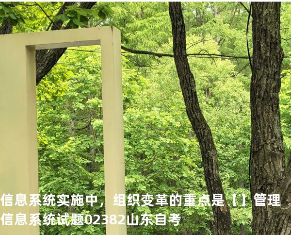信息系统实施中，组织变革的重点是【】管理信息系统试题 02382 山东自考