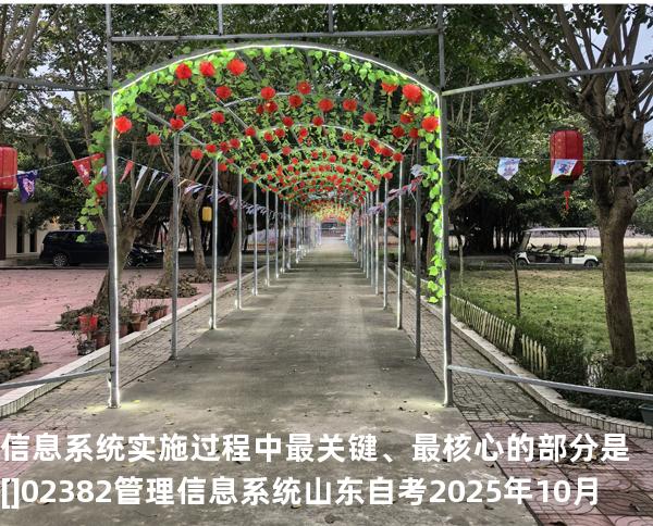 信息系统实施过程中最关键、最核心的部分是[]02382管理信息系统  山东自考2025年10月