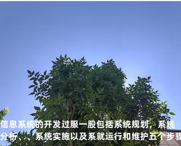 信息系统的开发过服一股包括系统规划，系统分析、、系统实施以及系就运 行和维护五个步骤