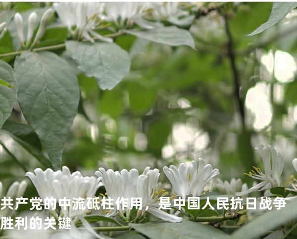 共产党的中流砥柱作用，是中国人民抗日战争胜利的关键