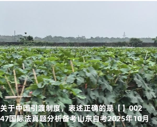 关于中国引渡制度，表述正确的是【】00247 国际法 真题分析 备考山东自考2025年10月