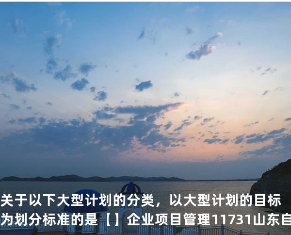 关于以下大型计划的分类，以大型计划的目标为划分标准的是【】企业项目管理 11731 山东自考