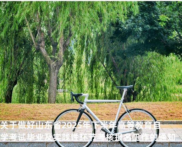 关于做好山东省2025年下半年高等教育自学考试毕业及实践性环节考核报名工作的通知