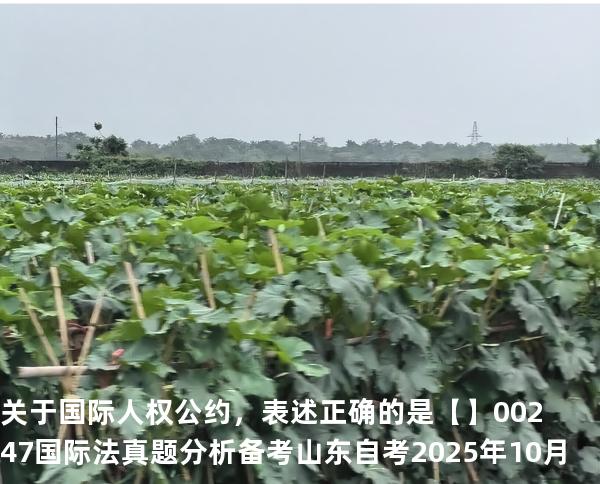 关于国际人权公约，表述正确的是【】00247 国际法 真题分析 备考山东自考2025年10月
