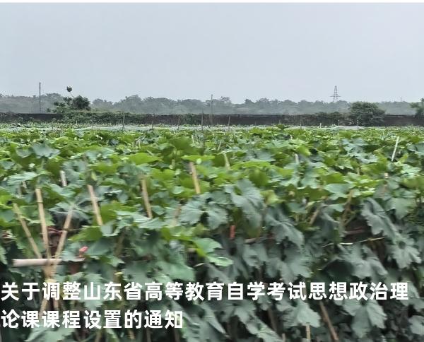  关于调整山东省高等教育自学考试思想政治理论课课程设置的通知