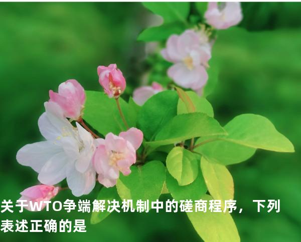 关于 WTO 争端解决机制中的磋商程序，下列表述正确的是