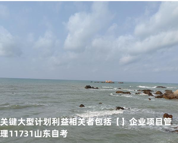 关键大型计划利益相关者包括【】企业项目管理 11731 山东自考