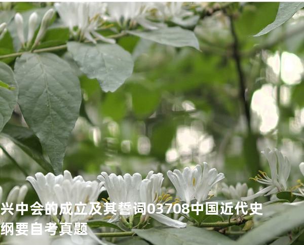 兴中会的成立及其誓词 03708中国近代史纲要自考真题