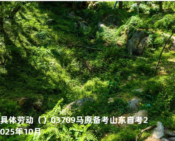  具体劳动（    ）03709 马原 备考山东自考2025年10月