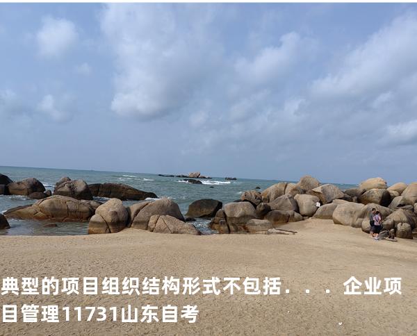 典型的项目组织结构形式不包括．．．企业项目管理 11731 山东自考