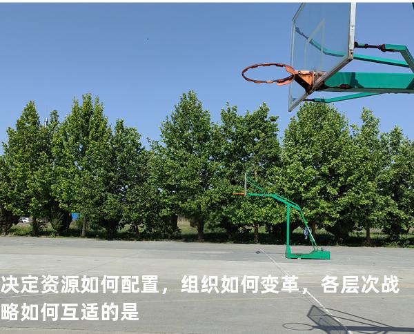 决定资源如何配置，组织如何变革，各层次战略如何互适的是